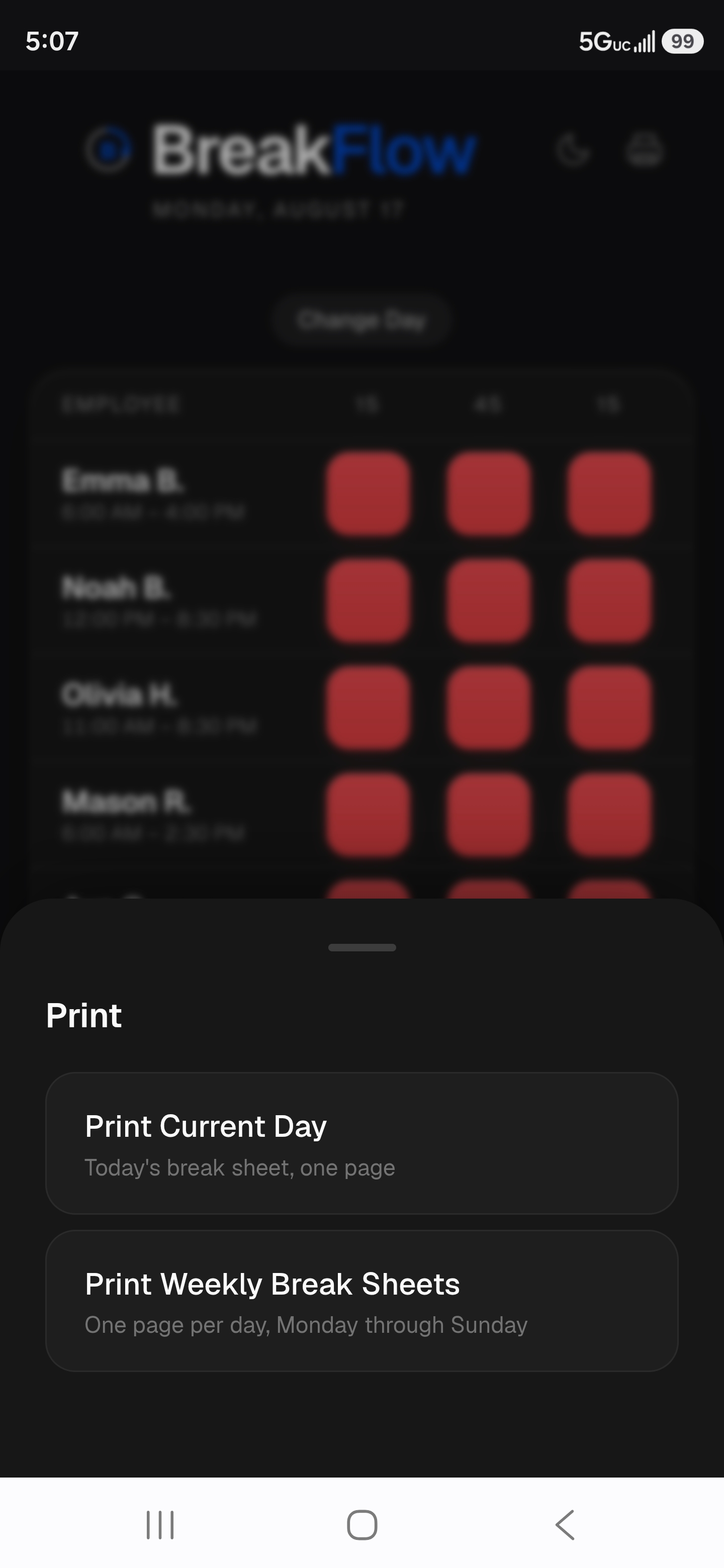 BreakFlow print options for the current day or the full week